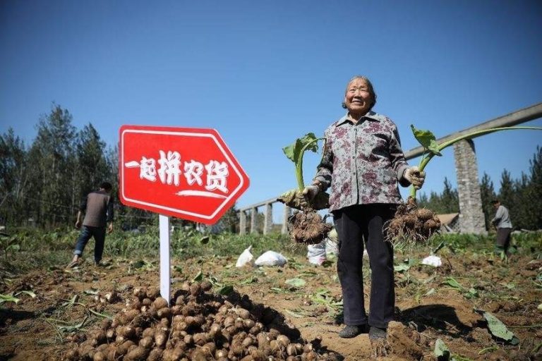 Pinduoduo and the “Cloud agriculture” campaign