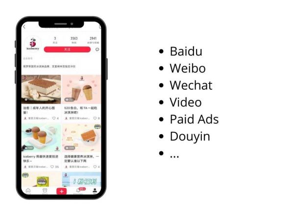 Digital marketing in China, Top Solution