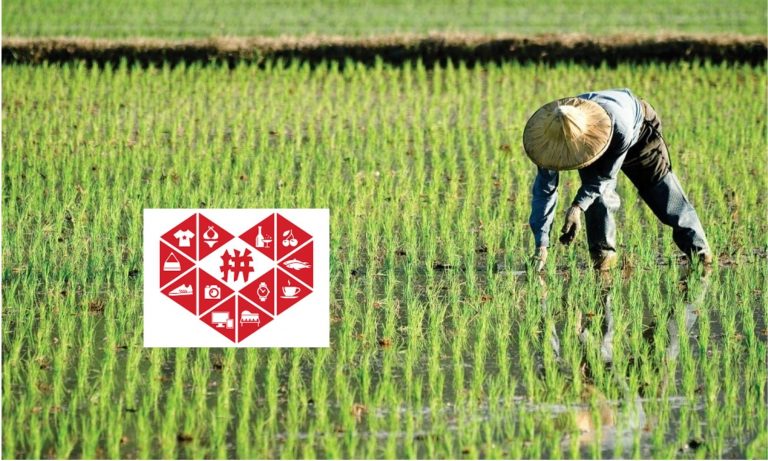 Pinduoduo is helping the agricultural industry thrive
