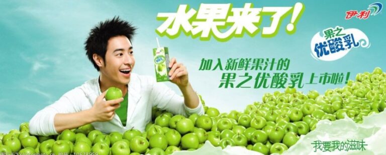 The Yoghurt Market in China : An Opportunity for Foreign Brands