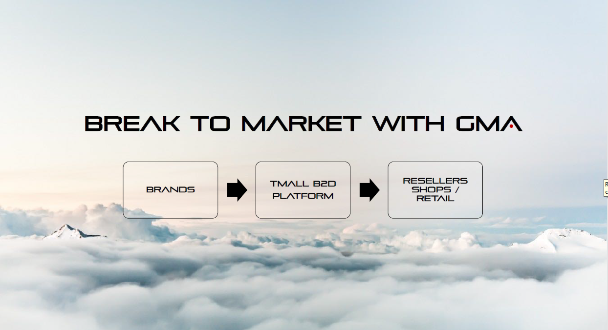 Chinese e-commerce platforms - Tmall B2D